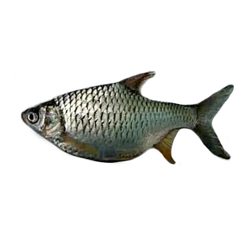 China Puthi
